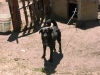 04020031